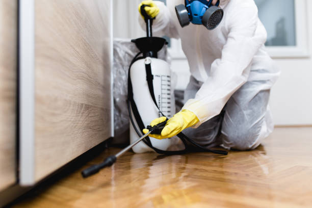 Best Wasp Removal Services  in Blakely, GA