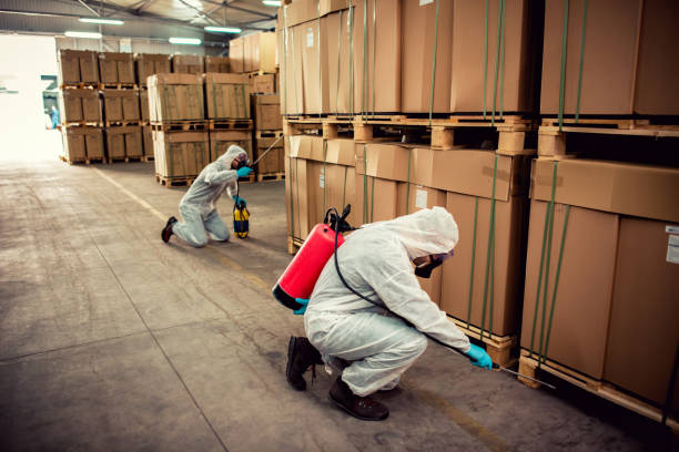 Best Flea Control Services  in Blakely, GA