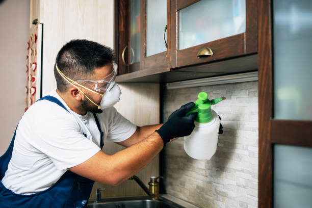 Best Bed Bug Extermination  in Blakely, GA