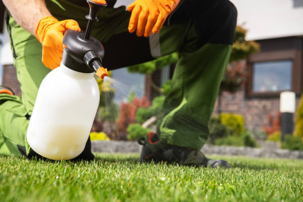 Best Commercial Pest Control Services  in Blakely, GA