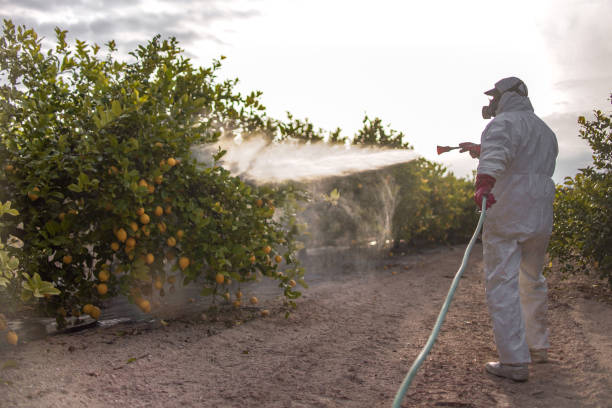 Best Local Pest Control Services  in Blakely, GA
