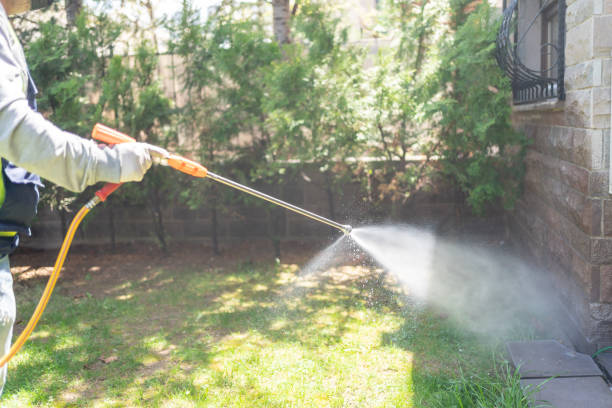 Best Pest Control for Businesses  in Blakely, GA