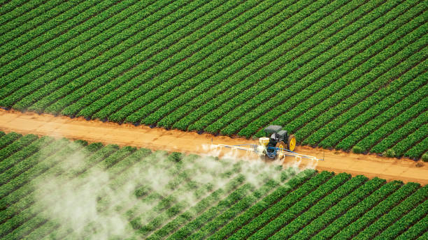 Pest Prevention Services in Blakely, GA