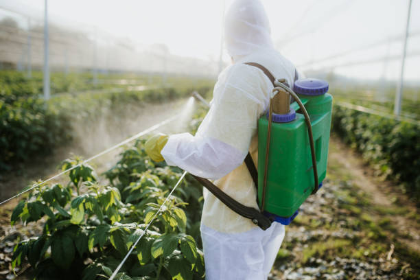 Best Termite Control Services  in Blakely, GA